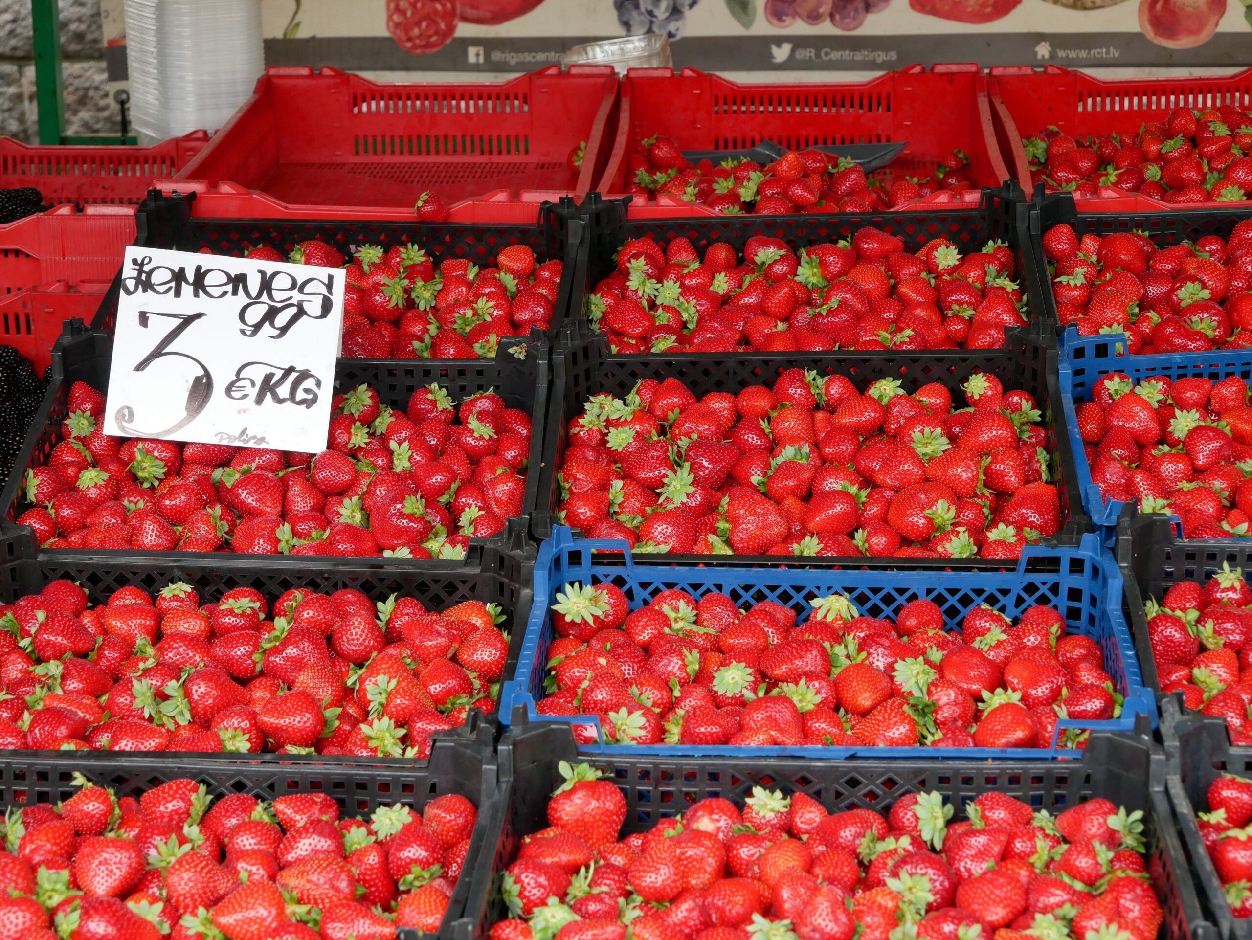 Custo de vida na Letônia: compras de mercado em Riga Mercado local em Riga com produtos frescos e preços em euros