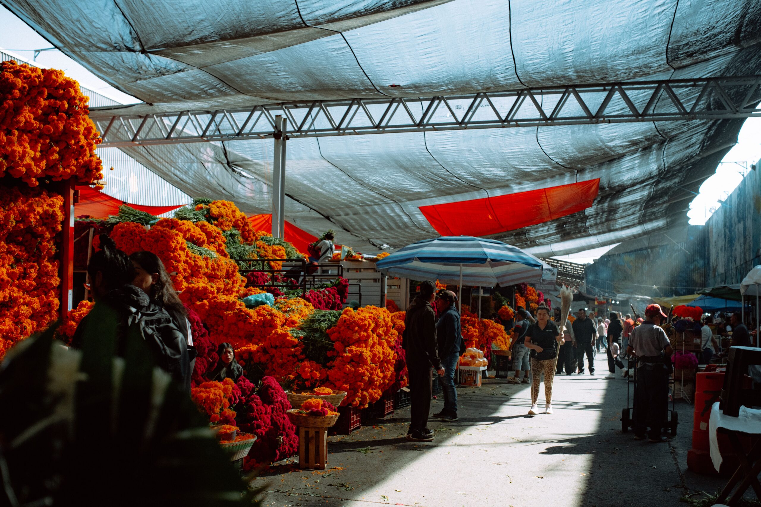 Resorts e pagamentos com cartão internacional na Jamaica Resort all-inclusive na Jamaica aceitando cartão internacional