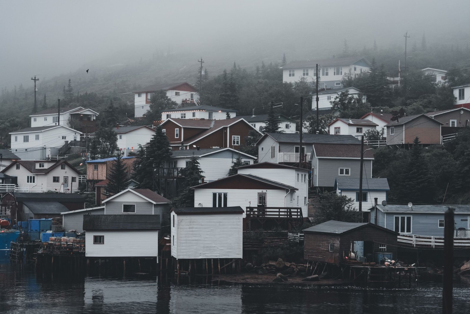 O verão alasquiano surpreende quem só conhece o estado pelas imagens de inverno Floresta e lago no Alasca durante o verão