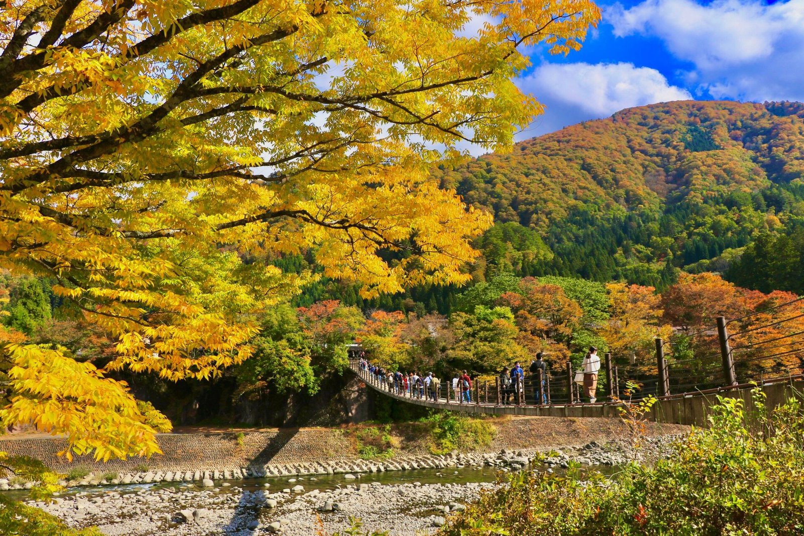 Roteiro de outono pela Ásia em 2026 Viajante caminhando por folhagem de outono no Japão com mochila