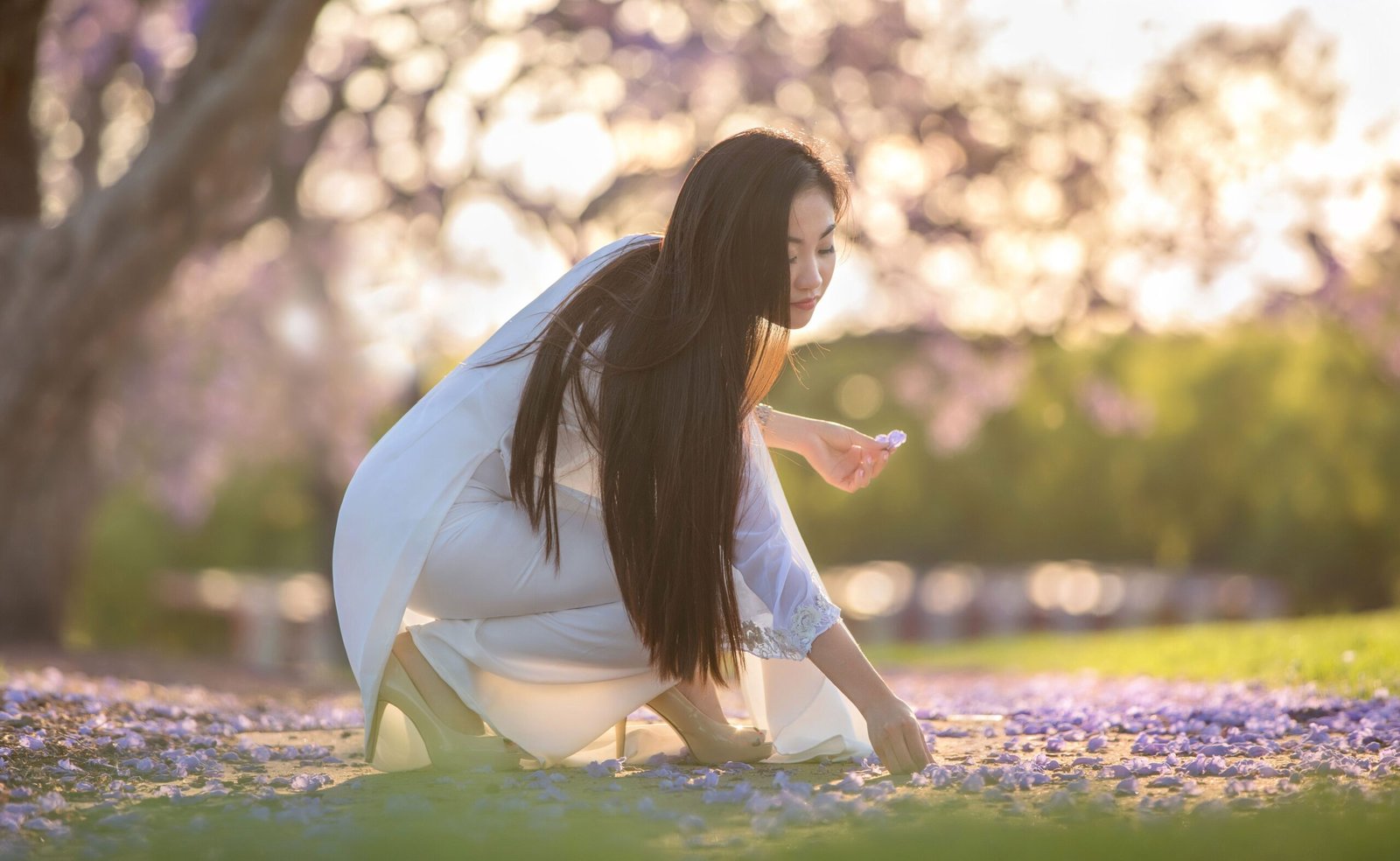 Melhores destinos da primavera na Oceania Campo de flores silvestres na primavera australiana