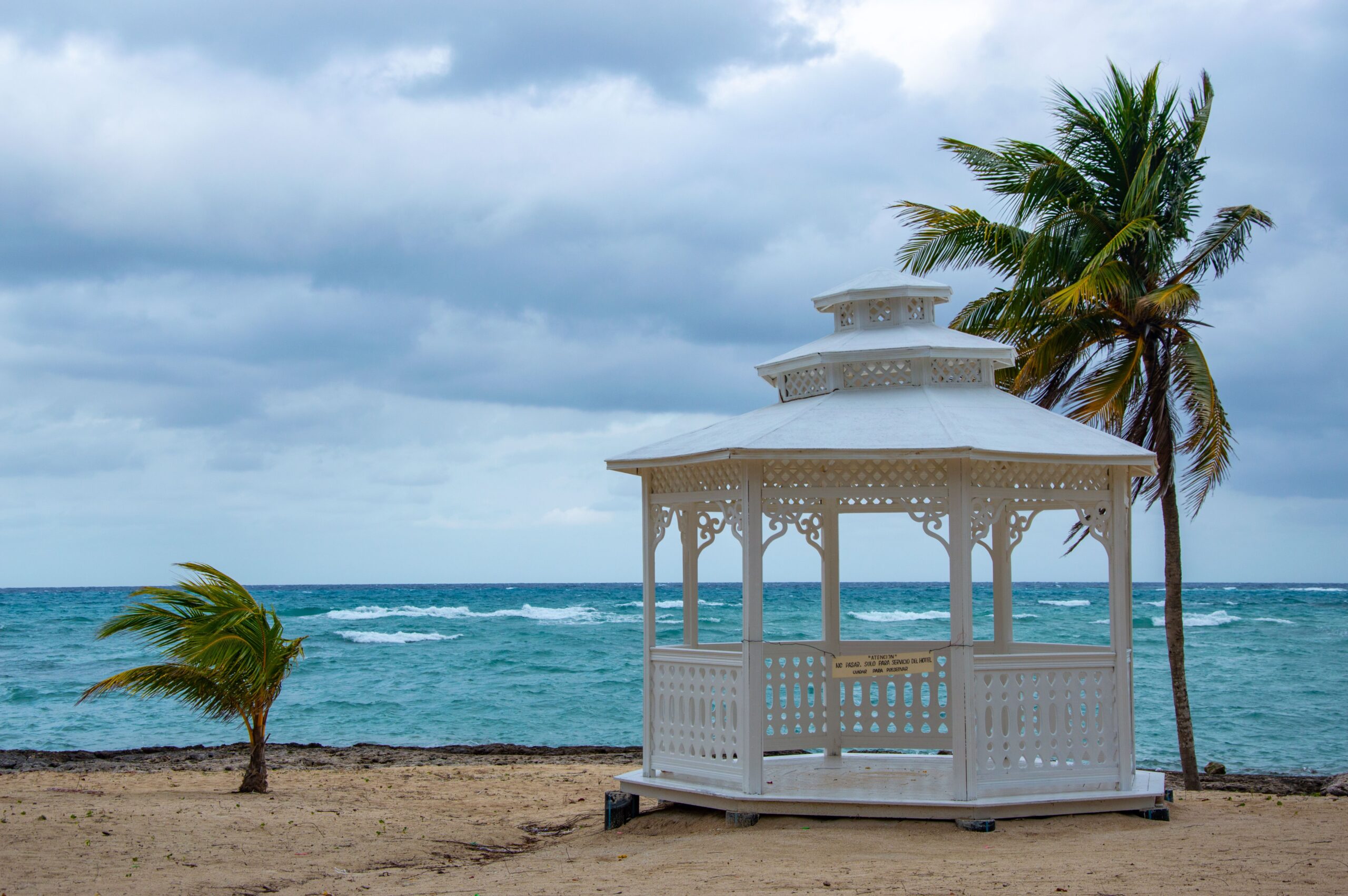 Vale a pena morar na Jamaica em 2026 Praia tropical na Jamaica ao entardecer com coqueiros e mar azul