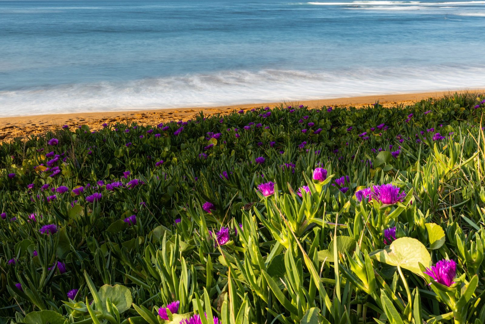 O que levar na mala para a primavera na Oceania Mala pronta para viagem de primavera na Oceania