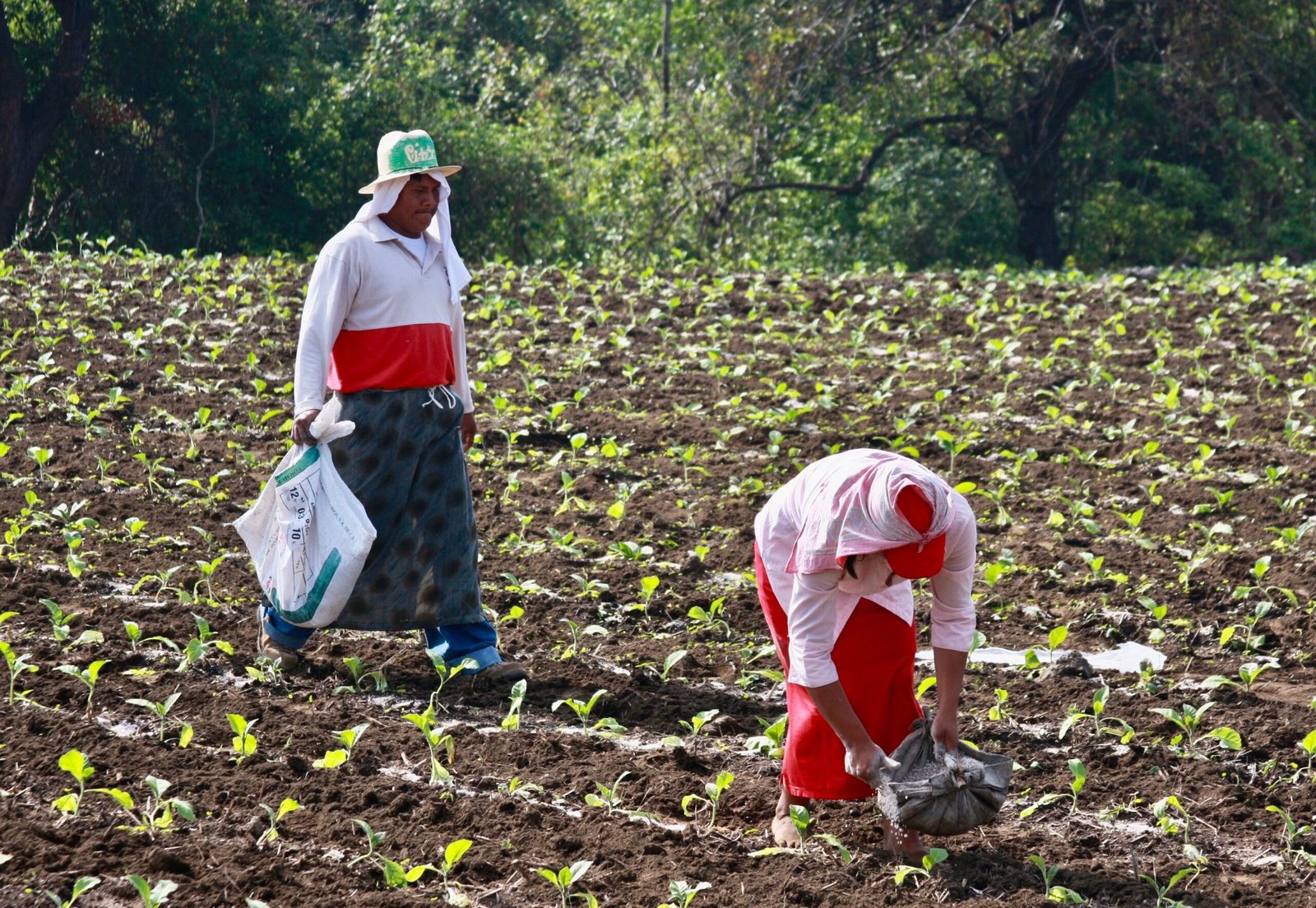 Vale a pena viver na Guatemala com salário mínimo em reais em 2026